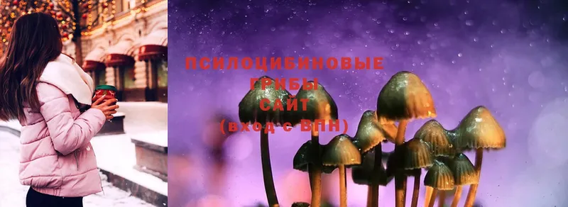 Галлюциногенные грибы Cubensis  Кисловодск 